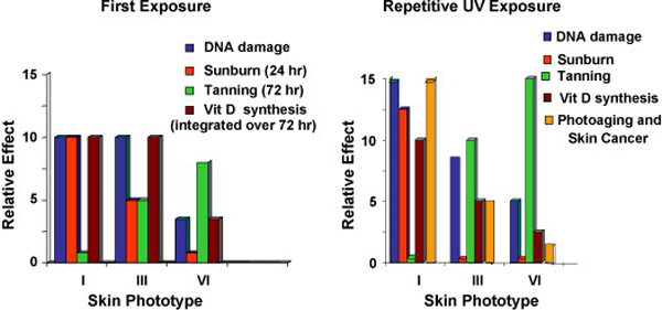 Perfect-tan-without-sunburn-discover-your-skin-phototype-4